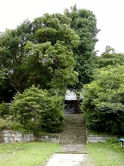 マウスクリックで拡大/縮小します