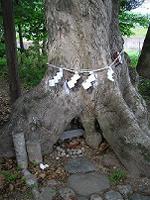 マウスクリックで拡大/縮小します