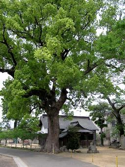 マウスクリックで拡大/縮小します