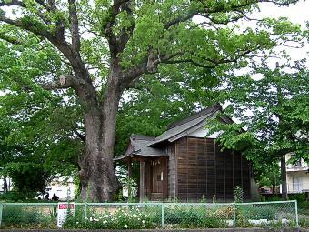 マウスクリックで拡大/縮小します