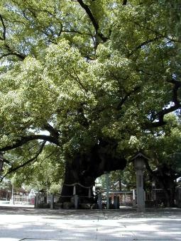 マウスクリックで拡大/縮小します