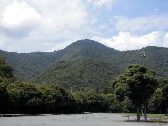 マウスクリックで拡大/縮小します