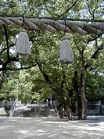 マウスクリックで拡大/縮小します