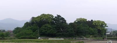 マウスクリックで拡大/縮小します