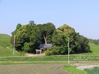 マウスクリックで拡大/縮小します