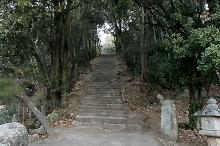 マウスクリックで拡大/縮小します