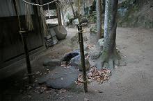 マウスクリックで拡大/縮小します