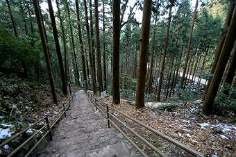 マウスクリックで拡大/縮小します