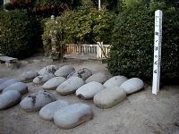 マウスクリックで拡大/縮小します