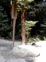 マウスクリックで拡大/縮小します