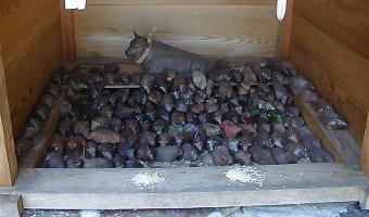 マウスクリックで拡大/縮小します