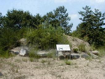 マウスクリックで拡大/縮小します