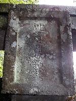 マウスクリックで拡大/縮小します