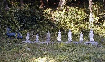 マウスクリックで拡大/縮小します