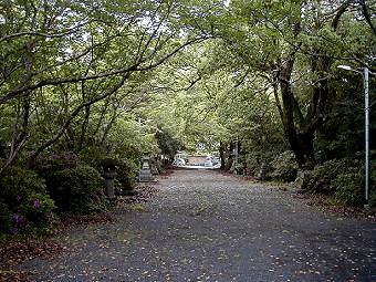 マウスクリックで拡大/縮小します