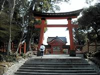 マウスクリックで拡大/縮小します