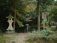 マウスクリックで拡大/縮小します