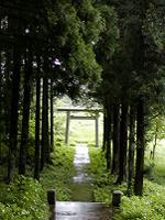 マウスクリックで拡大/縮小します