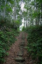 マウスクリックで拡大/縮小します