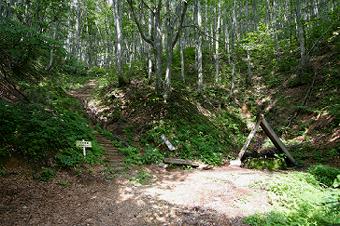 マウスクリックで拡大/縮小します