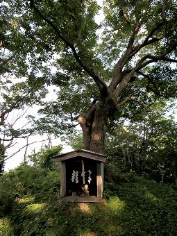 マウスクリックで拡大/縮小します