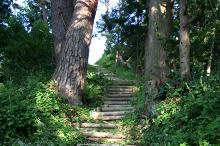 マウスクリックで拡大/縮小します