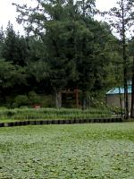 マウスクリックで拡大/縮小します