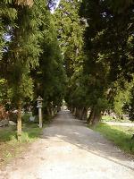 マウスクリックで拡大/縮小します