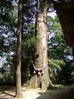 マウスクリックで拡大/縮小します