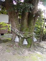 マウスクリックで拡大/縮小します