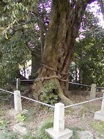 マウスクリックで拡大/縮小します