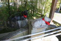 マウスクリックで拡大/縮小します