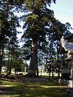 マウスクリックで拡大/縮小します