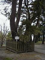 マウスクリックで拡大/縮小します