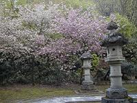 マウスクリックで拡大/縮小します