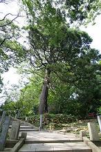 マウスクリックで拡大/縮小します