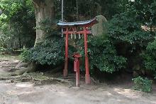 マウスクリックで拡大/縮小します