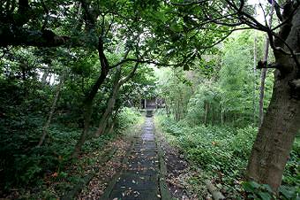 マウスクリックで拡大/縮小します