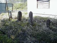 マウスクリックで拡大/縮小します