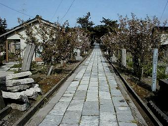 マウスクリックで拡大/縮小します