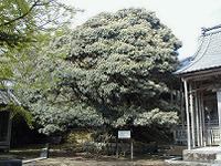 マウスクリックで拡大/縮小します