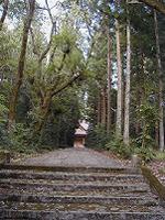 マウスクリックで拡大/縮小します