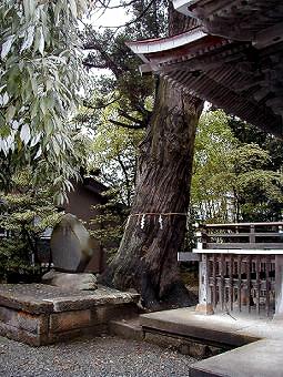 マウスクリックで拡大/縮小します