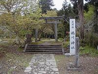 マウスクリックで拡大/縮小します