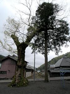 マウスクリックで拡大/縮小します