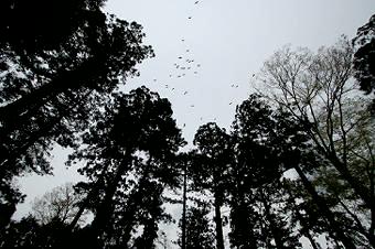 マウスクリックで拡大/縮小します