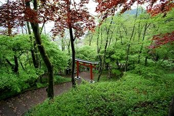 マウスクリックで拡大/縮小します