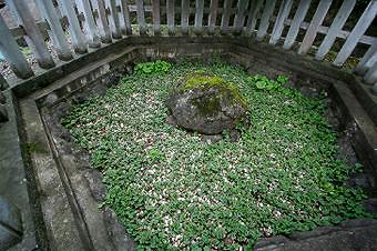 マウスクリックで拡大/縮小します