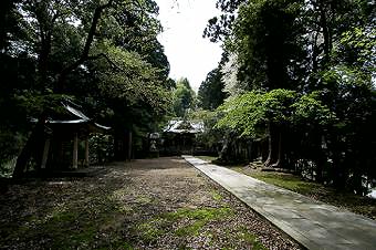 マウスクリックで拡大/縮小します