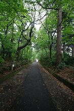 マウスクリックで拡大/縮小します